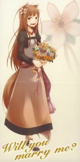 BUY NEW spice and wolf - 188933 Premium Anime Print Poster